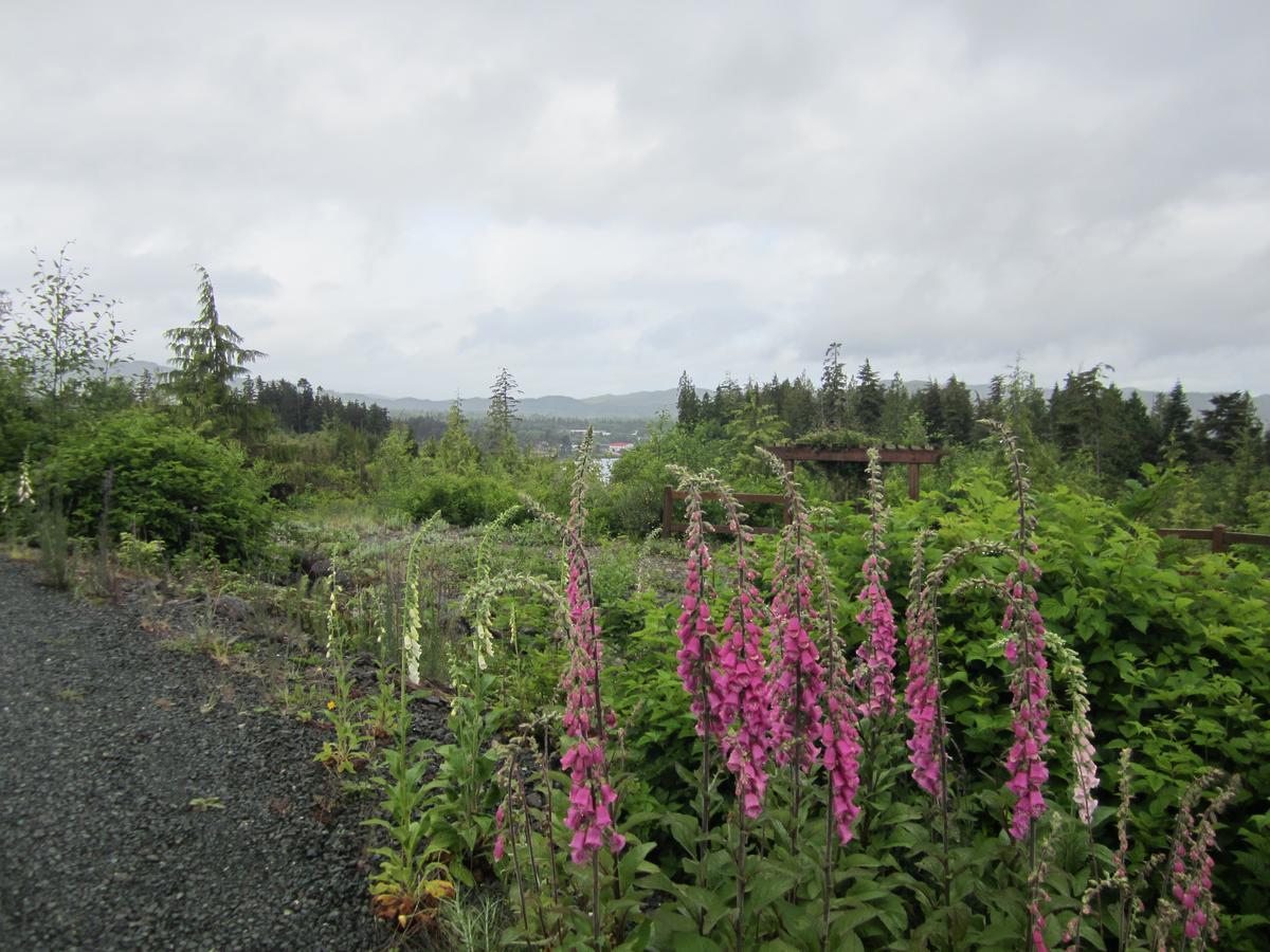 Ecoscape Cabins Hotel Port Hardy Luaran gambar