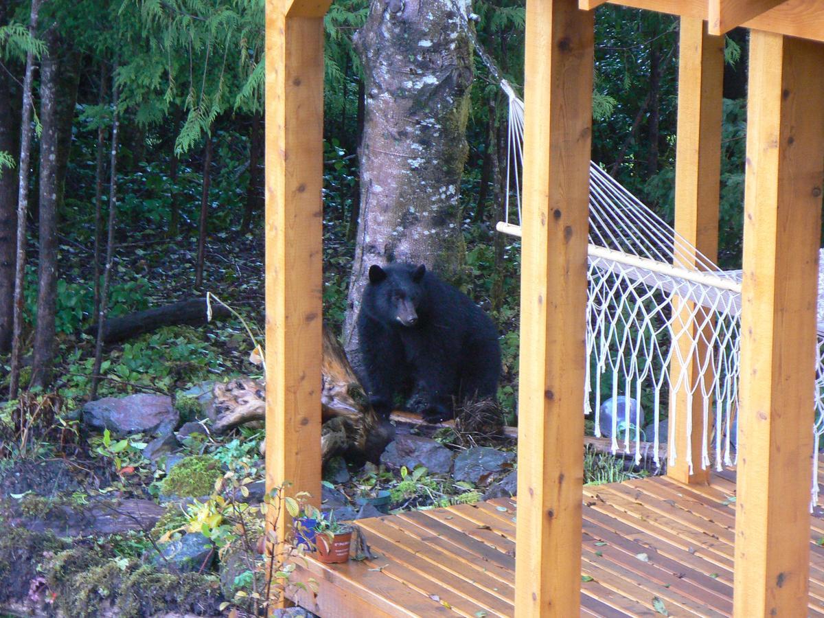Ecoscape Cabins Hotel Port Hardy Luaran gambar